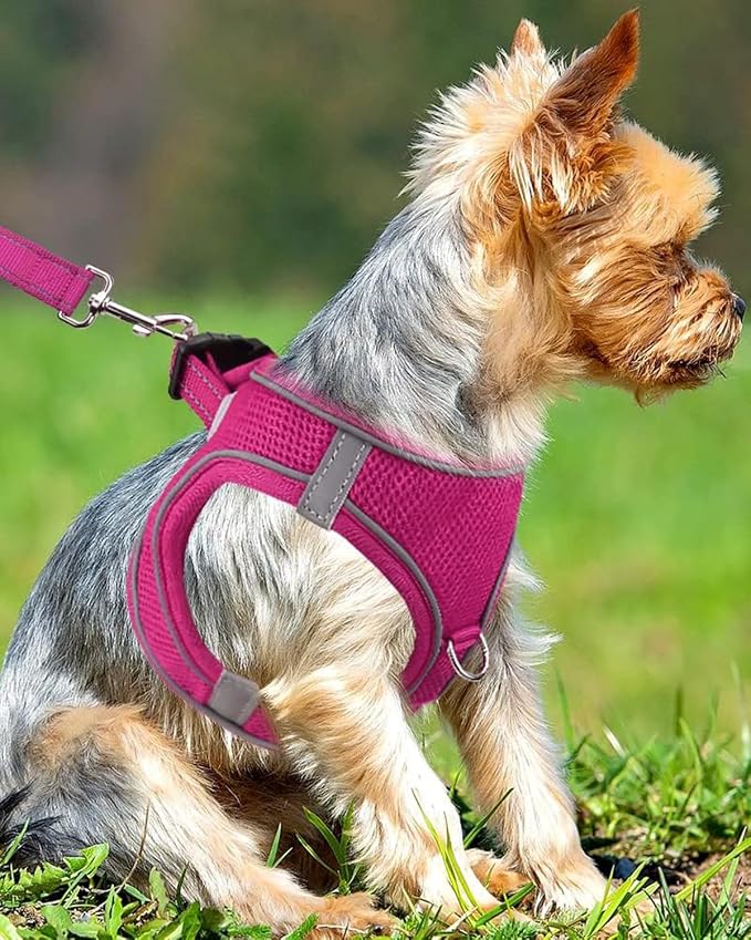 Joytale Small Dog Harness, Breathable Mesh Step-in Vest, Reflective Soft Padded - Image 2