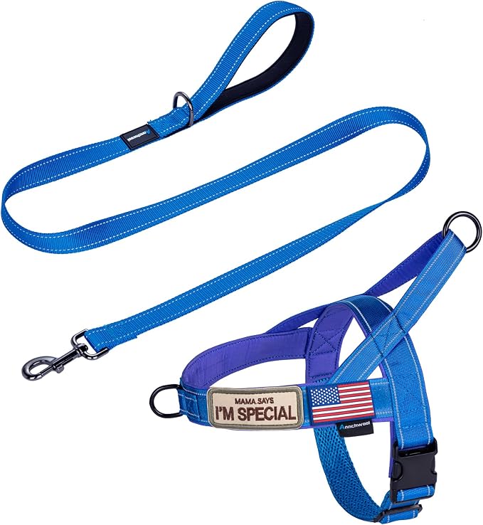 Annchwool No Pull Dog Harness by Annchwool