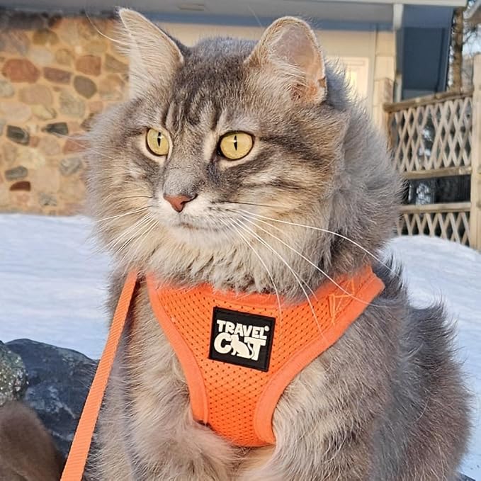 Travel Cat Harness and Leash Set - Image 2