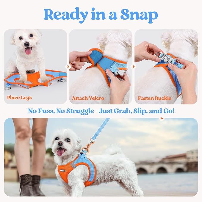 rabbitgoo Dog Harness Small Sized and Leash Set, Step in Soft Light Puppy Vest - Image 8