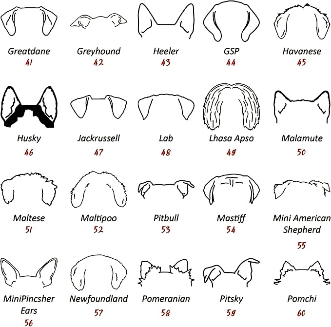 Personalized Dog Mom Sweatshirt, Custom Dog Ear Line Art Portrait Sweatshirt - Image 5