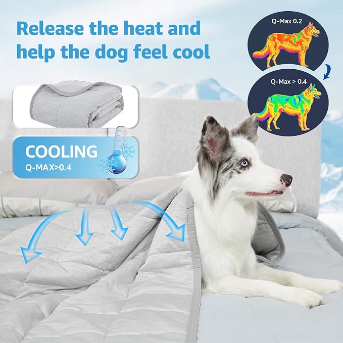 Dog Cooling Blanket, 0.4 Q-MAX Cooling Blanket - Image 2