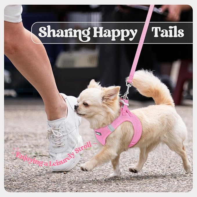 rabbitgoo Dog Harness Medium Sized and Leash Set, Step in Soft Light Puppy Vest - Image 9