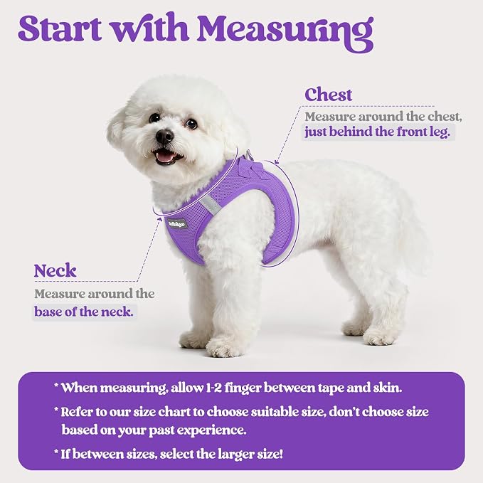 rabbitgoo Dog Harness Small Sized and Leash Set, Step in Soft Light Puppy Vest - Image 2