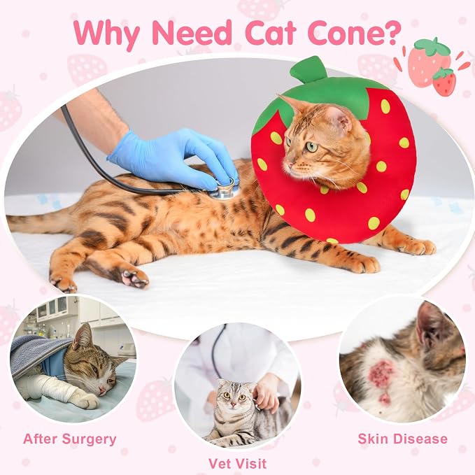 BEAUTYZOO Cat Cone Collars Soft, Cat Recovery E Collars After Surgery to Stop - Image 2