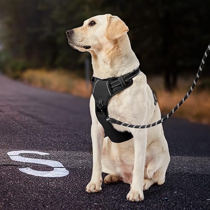 IVY&LANE No Pull Dog Harness for Medium Dogs, Dog Vest Harness - Image 6