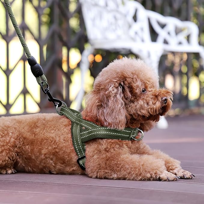 Plutus Pet No Pull Dog Harness - Image 6