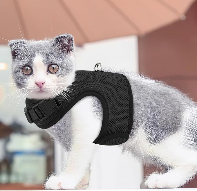 MoNiBloom Soft Cat Harness for Walking Escape Proof and Travel, Kitten - Image 3