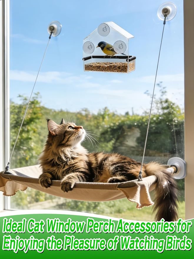 Outdoor Window Bird Feeder for Cats Viewing - Image 3