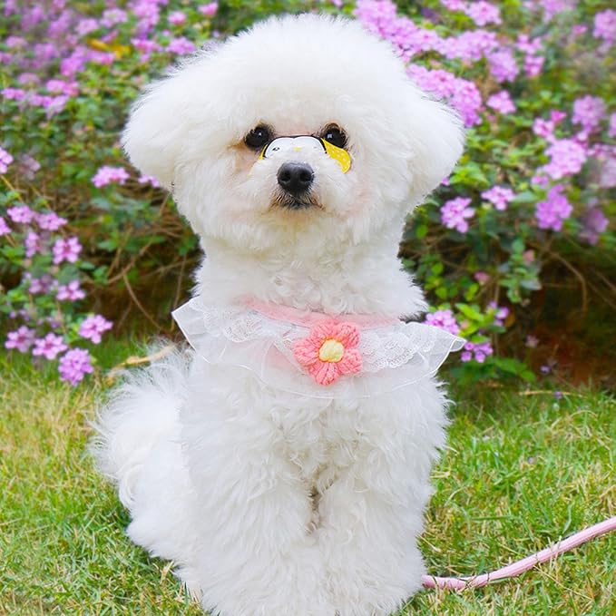 Cat Harness Collar and Leash Set, Sweet Lace Floral Kitten Collar, Escape Proof - Image 5