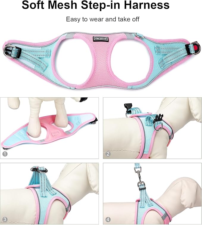 Mercano Soft Mesh Dog Harness and Leash Set, No-Chock Step-in Reflective - Image 5