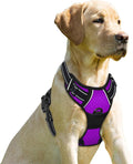 BARKBAY No Pull Dog Harness Front Clip Heavy Duty Reflective Easy Control Handle by BARKBAY