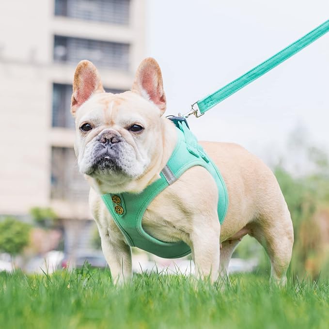 PUPTECK Dog Harness and Leash Set - Image 2