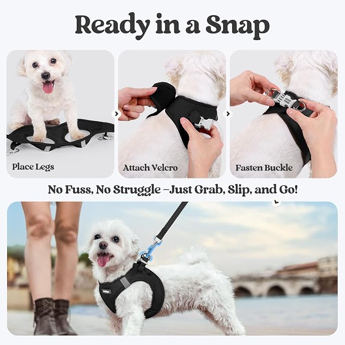 rabbitgoo Dog Harness Small Medium Sized and Leash Set, Step in Soft Light - Image 8