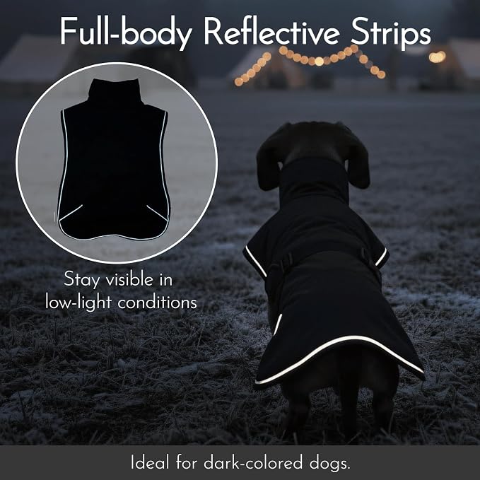 Waterproof & Windproof Dachshund Coat - Image 5