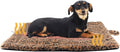 Self Warming Cat Pad for Cats and Dogs, Non Electric Thermal Pet Mat, Washable by PetTemp