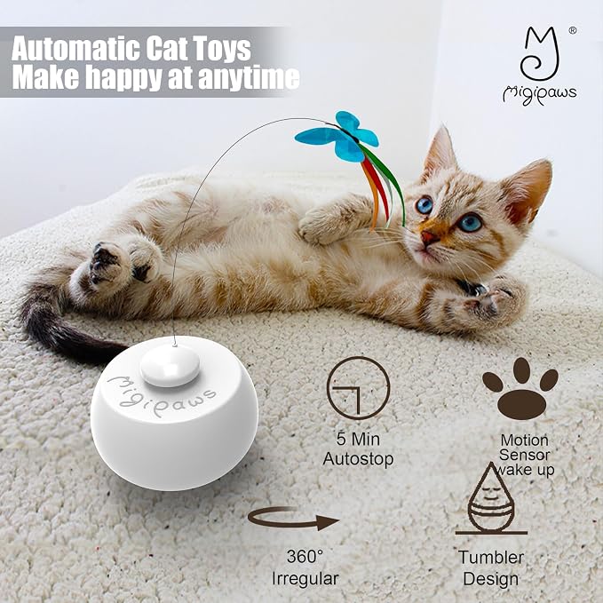 Migipaws Interactive Cat Toys, Butterfly & Feather Kitten Toy, Automatic - Image 8