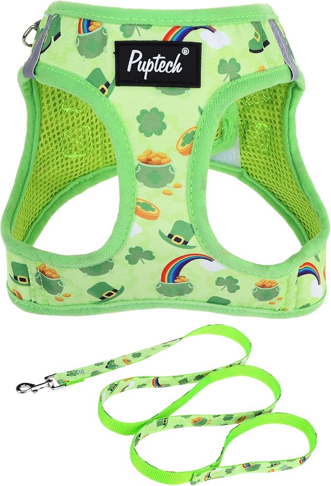 PUPTECK Dog Harness and Leash Set by PUPTECK