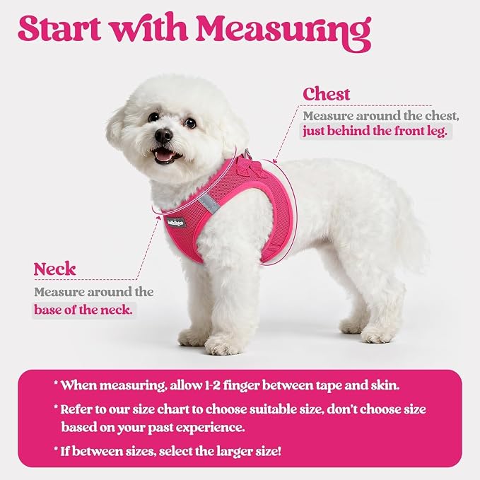 rabbitgoo Dog Harness Small Medium Sized and Leash Set, Step in Soft Light - Image 2