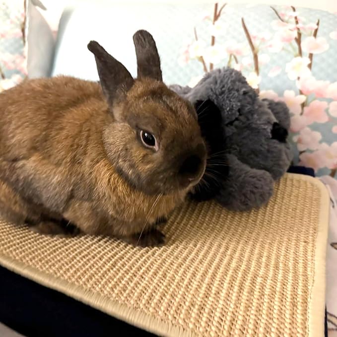 PODOO Bunny Scratch Pads, Sisal Rabbit Scratching Pad, Natural Rabbit Resting - Image 5