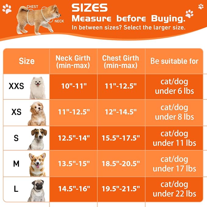 Soft Mesh Dog Harness and Leash Set, No Pull Puppy Harness and Leash Set - Image 4