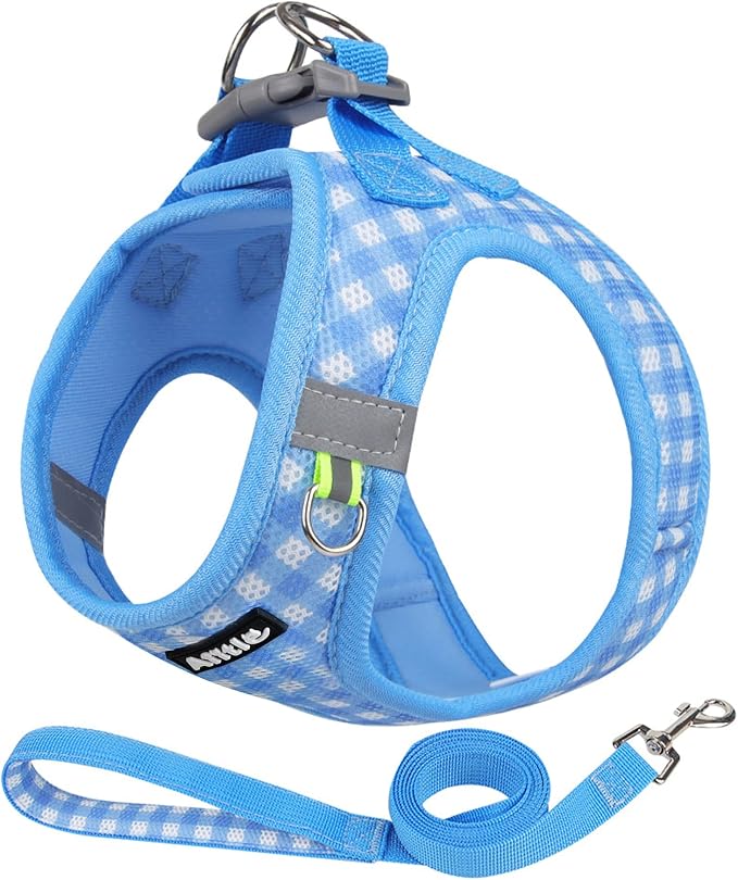 AIITLE Easy Walk Dog Vest Harness and Leash Set, Pet Supply No Pull, Breathable by AIITLE-FORPETSBETTERLIFE