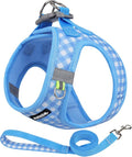 AIITLE Adjustable Dog Harness and Leash Set, Step in No Pull Pet Harness by AIITLE-FORPETSBETTERLIFE