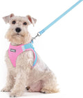 rabbitgoo Dog Harness Medium Sized and Leash Set, Step in Soft Light Puppy Vest by rabbitgoo