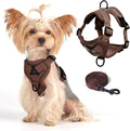 Vest Harness Leash Set for Small Dog Large Cat, Upgraded Escape Proof by skmeditec