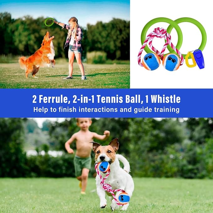 Complete Dog Agility Course Set | Backyard Training Equipment - Image 8