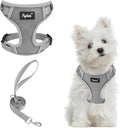 PUPTECK Small Dog Harness and Leash Set, No Pull Adjustable Puppy Cat Harness by PUPTECK
