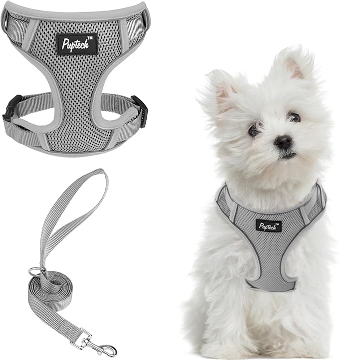 PUPTECK Small Dog Harness and Leash Set, No Pull Adjustable Puppy Cat Harness by PUPTECK