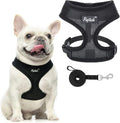 PUPTECK Soft Mesh Dog Harness and Leash Set Pet Puppy Cat Comfort Padded Vest by PUPTECK