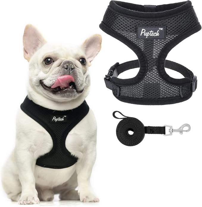 PUPTECK Soft Mesh Dog Harness and Leash Set Pet Puppy Cat Comfort Padded Vest by PUPTECK