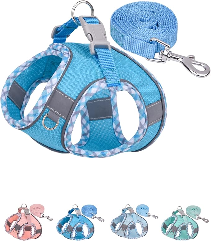 Petank Dog Harness for Small Medium Dogs No Pull, Puppy Harness and Leash Set by Petank