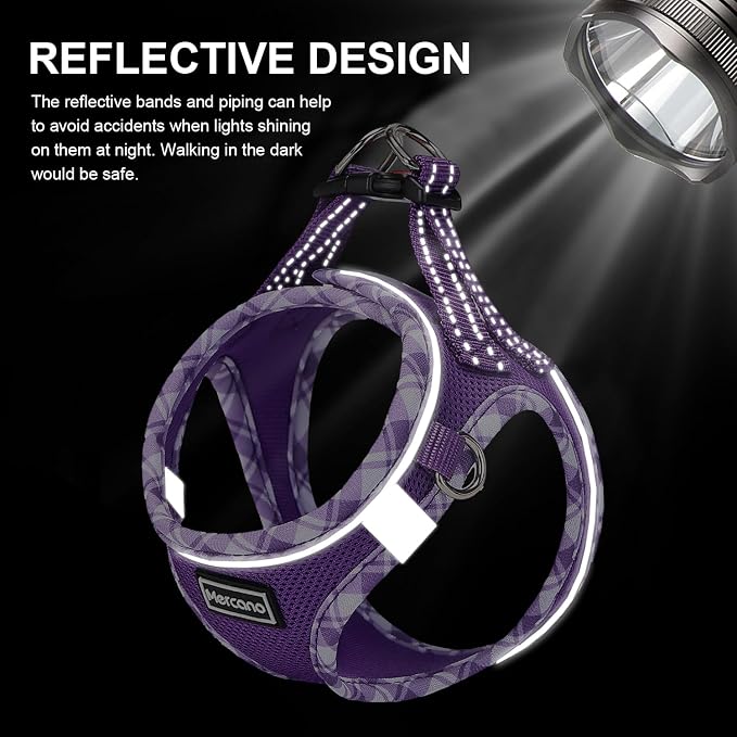 Mercano Soft Mesh Dog Harness and Leash Set, No-Chock Step-in Reflective - Image 6