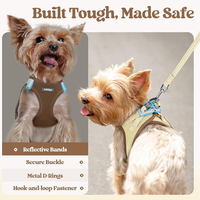 rabbitgoo Dog Harness Small Sized and Leash Set, Step in Soft Light Puppy Vest - Image 6