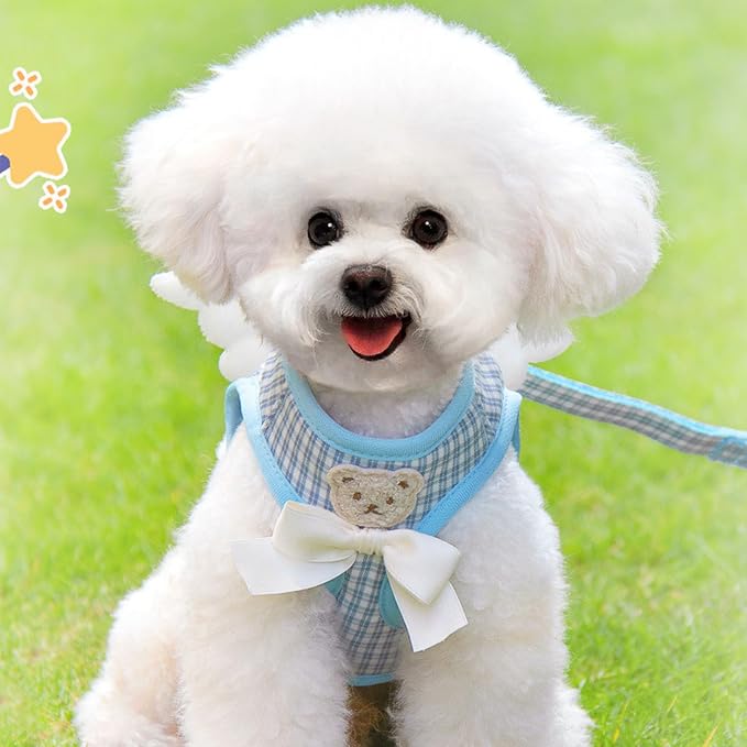 Dog Harness and Leash Set with Angle Wings, Pet Adjustable Mesh Vest Harness - Image 5