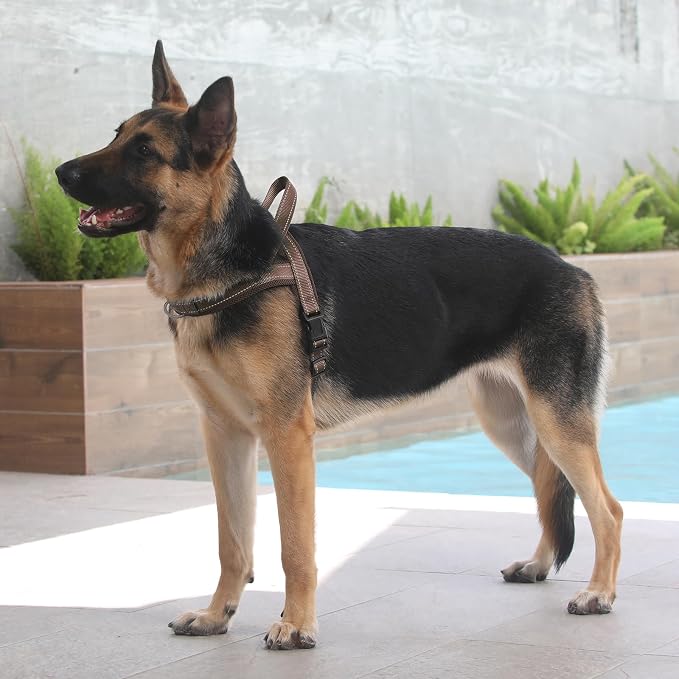 Plutus Pet No Pull Dog Harness - Image 7