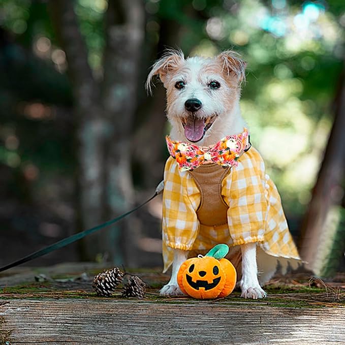 Fall Dog Collar - Image 6