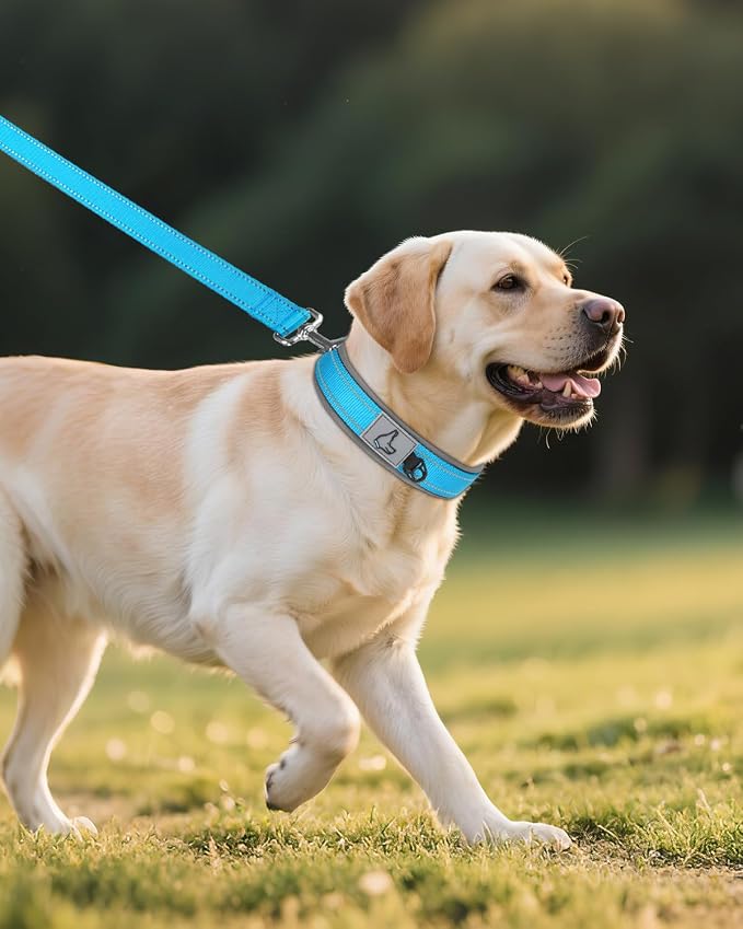 Joytale Dog Collar for Large Dogs, Neoprene Padded and Adjustable, Reflective - Image 6