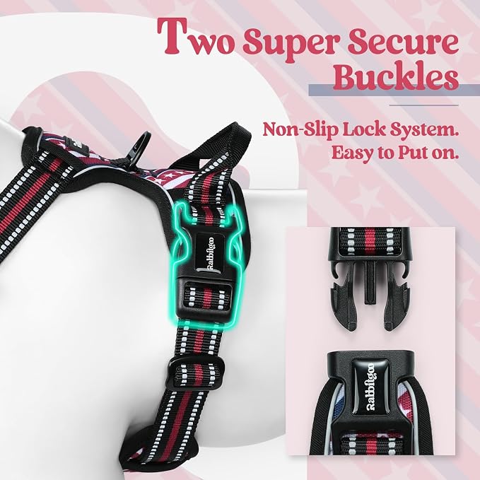 rabbitgoo Dog Harness No Pull - Image 3