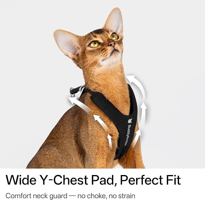 Escape Proof Y Shape Cat Harness Anti-Choke Buckle Adjustable Comfortable - Image 4