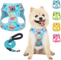 BEAUTYZOO Step in Dog Harness and Leash Set, Reflective Dog Harness No Pull No by BEAUTYZOO
