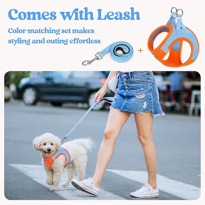 rabbitgoo Dog Harness Small Sized and Leash Set, Step in Soft Light Puppy Vest - Image 6