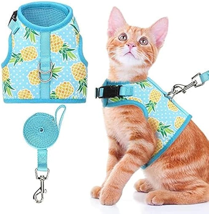 BINGPET Cat Harness by BINGPET