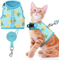 BINGPET Cat Harness by BINGPET