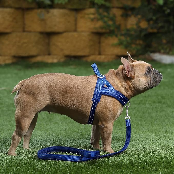 Plutus Pet No Pull Dog Harness - Image 5