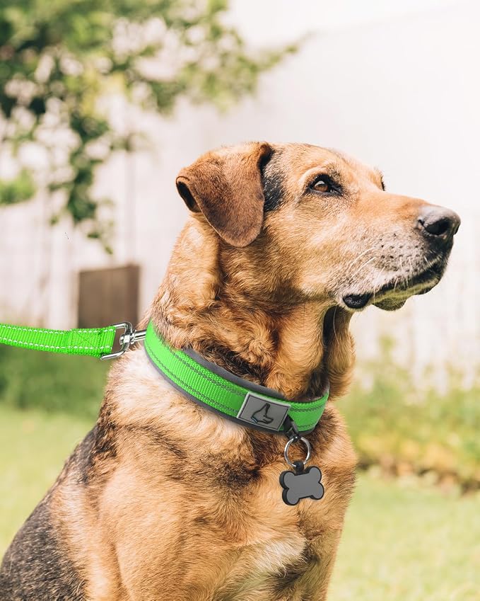 Joytale Dog Collar for Extra Large Dogs, Neoprene Padded and Adjustable - Image 3