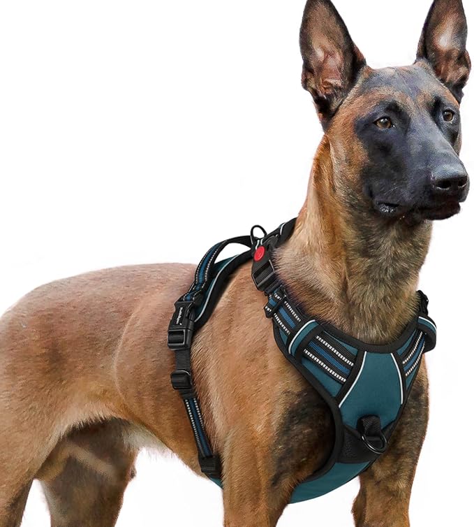 rabbitgoo Dog Harness for Large, No Pull Pet Harness by rabbitgoo